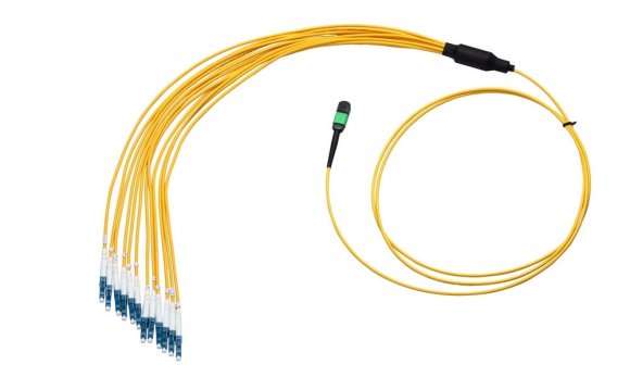 2 Meter Single-mode Plenum MTP