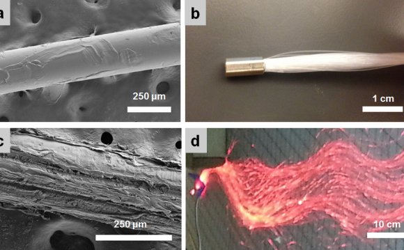 Fig. 3 (a) Unabraded fiber