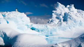 Adelie_penguin_on_an_iceberg_near_the_Antarctic_Peninsula