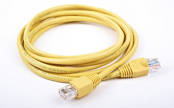 LAN 100 cable
