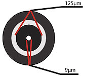 fiber-optic-cable-internal-structure-singlemode