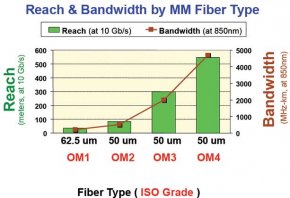 FIBER-TYPES.jpg FIBER-TYPES.jpg
