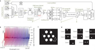 Multi-core, multi-mode fiber